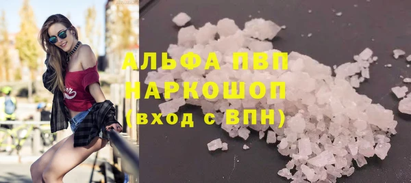 дживик Пересвет