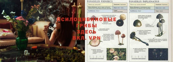мдма Пестово