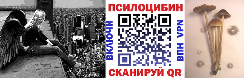 как найти закладки  Бронницы  Псилоцибиновые грибы MAGIC MUSHROOMS 